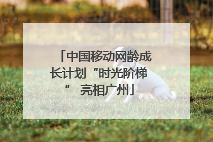 中国移动网龄成长计划“时光阶梯” 亮相广州