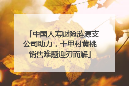 中国人寿财险涟源支公司助力，十甲村黄桃销售难题迎刃而解