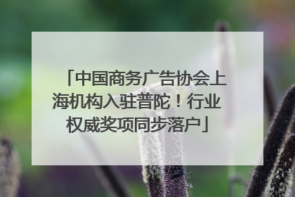 中国商务广告协会上海机构入驻普陀！行业权威奖项同步落户