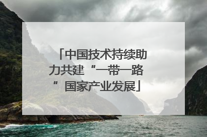 中国技术持续助力共建“一带一路”国家产业发展