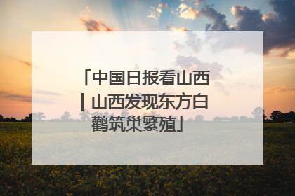 中国日报看山西｜山西发现东方白鹳筑巢繁殖