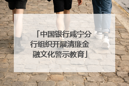 中国银行咸宁分行组织开展清廉金融文化警示教育