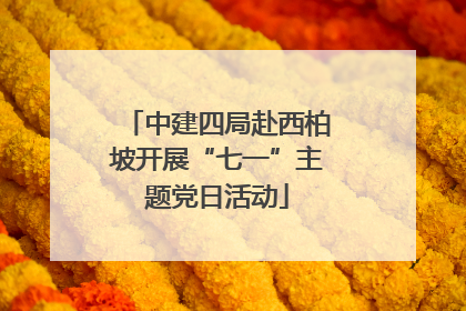 中建四局赴西柏坡开展“七一”主题党日活动
