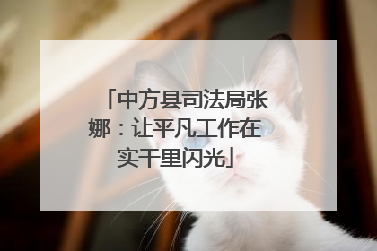 中方县司法局张娜：让平凡工作在实干里闪光