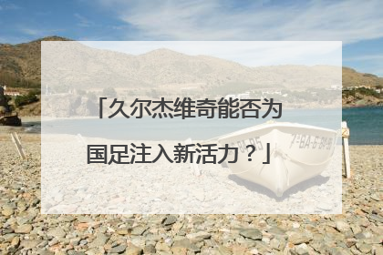 久尔杰维奇能否为国足注入新活力？