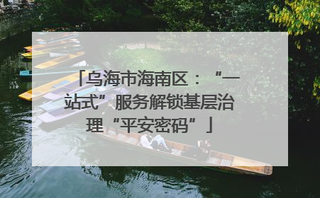 乌海市海南区：“一站式”服务解锁基层治理“平安密码”