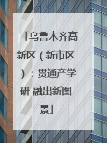 乌鲁木齐高新区（新市区）：贯通产学研 融出新图景