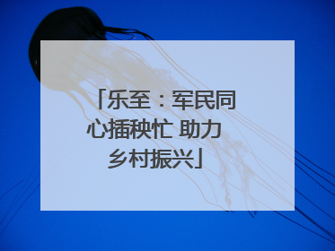 乐至：军民同心插秧忙 助力乡村振兴