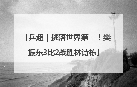 乒超｜挑落世界第一！樊振东3比2战胜林诗栋