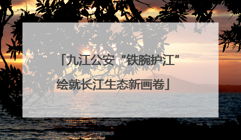 九江公安“铁腕护江”绘就长江生态新画卷