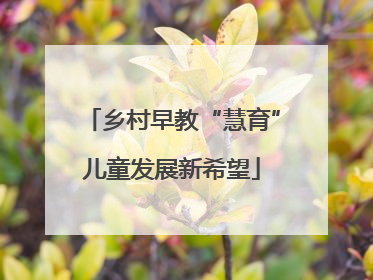 乡村早教“慧育”儿童发展新希望