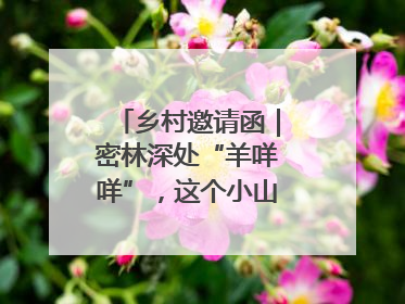 乡村邀请函｜密林深处“羊咩咩”，这个小山村如何逆袭？