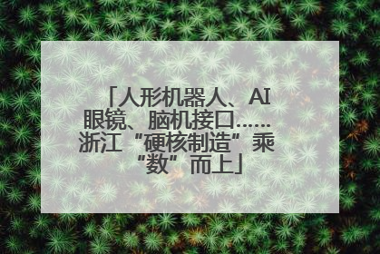人形机器人、AI眼镜、脑机接口……浙江“硬核制造”乘“数”而上