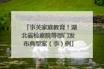 事关家庭教育！湖北省检察院等部门发布典型案（事）例