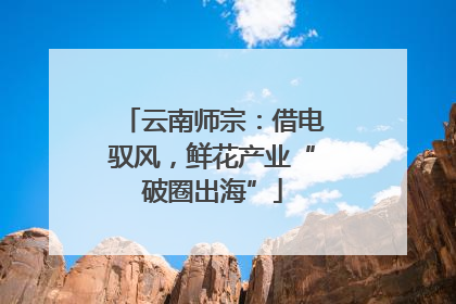 云南师宗：借电驭风，鲜花产业“破圈出海”