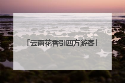 云南花香引四方游客