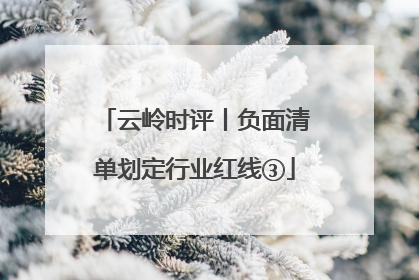 云岭时评丨负面清单划定行业红线③