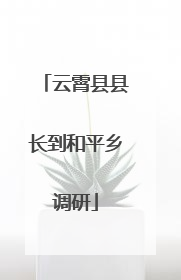 云霄县县长到和平乡调研