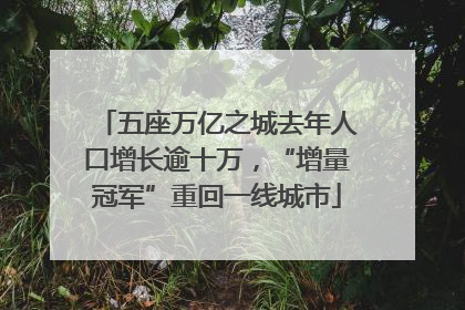 五座万亿之城去年人口增长逾十万，“增量冠军”重回一线城市