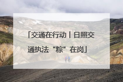 交通在行动丨日照交通执法“粽”在岗