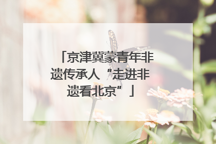 京津冀蒙青年非遗传承人“走进非遗看北京”