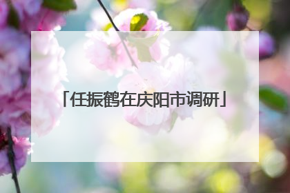 任振鹤在庆阳市调研