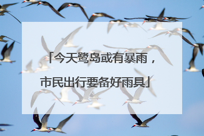 今天鹭岛或有暴雨，市民出行要备好雨具