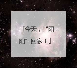 今天，“阳阳”回家！