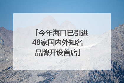 今年海口已引进48家国内外知名品牌开设首店