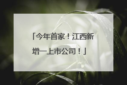今年首家！江西新增一上市公司！
