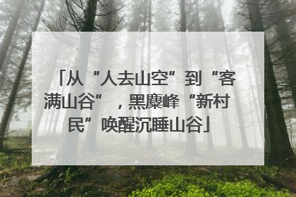 从“人去山空”到“客满山谷”，黑麋峰“新村民”唤醒沉睡山谷
