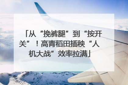 从“挽裤腿”到“按开关”！高青稻田插秧“人机大战”效率拉满