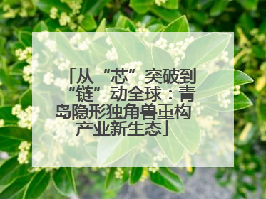 从“芯”突破到“链”动全球：青岛隐形独角兽重构产业新生态