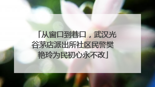 从窗口到巷口，武汉光谷茅店派出所社区民警樊艳玲为民初心永不改