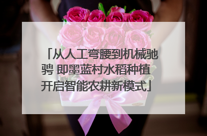 从人工弯腰到机械驰骋 即墨蓝村水稻种植开启智能农耕新模式