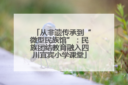 从非遗传承到“微型民族馆”：民族团结教育融入四川宜宾小学课堂