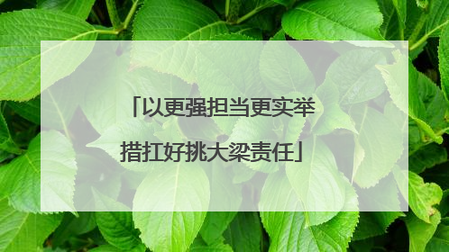 以更强担当更实举措扛好挑大梁责任