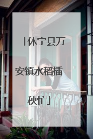 休宁县万安镇水稻插秧忙