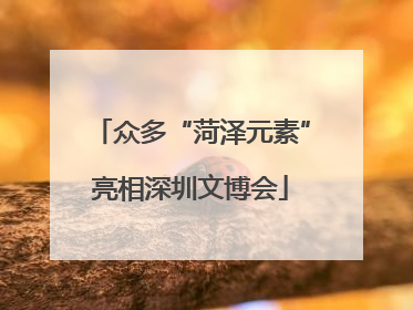 众多“菏泽元素”亮相深圳文博会