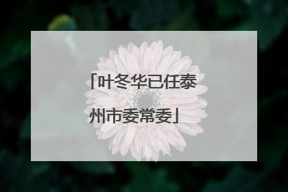 叶冬华已任泰州市委常委