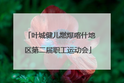 叶城健儿燃爆喀什地区第二届职工运动会