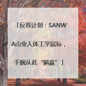 反卷计划：SANWA山业人体工学鼠标，手腕从此“躺赢”