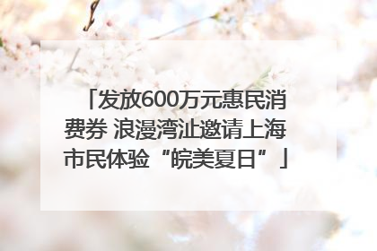 发放600万元惠民消费券 浪漫湾沚邀请上海市民体验“皖美夏日”
