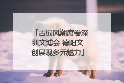 古蜀风潮席卷深圳文博会 德阳文创展现多元魅力