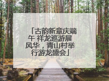 古韵新章庆端午 祥龙巡游展风华，青山村举行游龙盛会