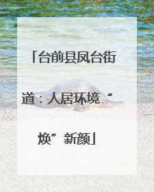 台前县凤台街道：人居环境“焕”新颜