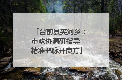 台前县夹河乡：市政协调研指导 精准把脉开良方