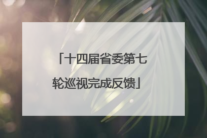 十四届省委第七轮巡视完成反馈