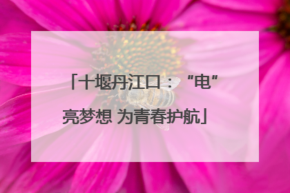 十堰丹江口：“电”亮梦想 为青春护航