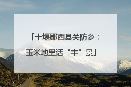 十堰郧西县关防乡：玉米地里话“丰”景